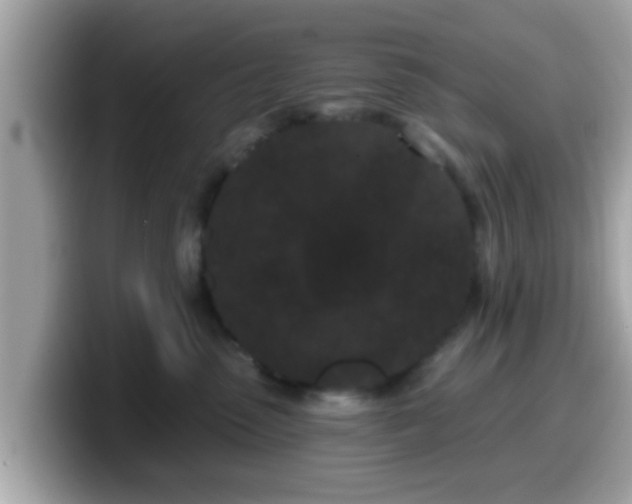 X0000099560475200805231516