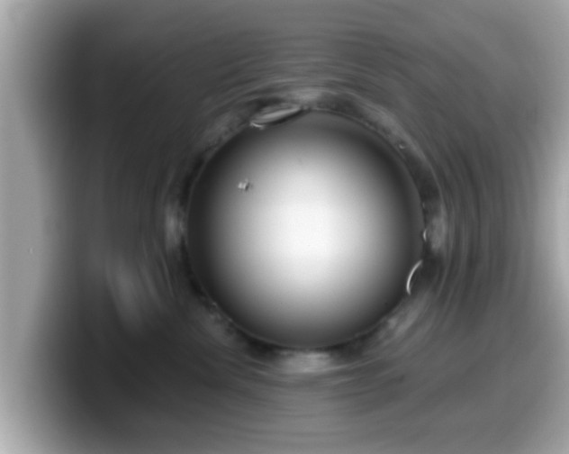 X0000099560476200805231516