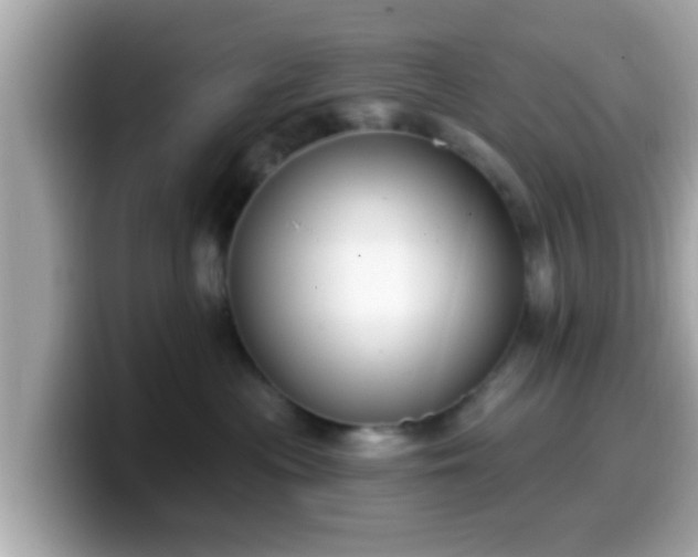 X0000099560477200805231516