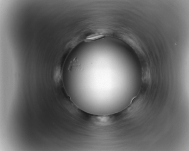 X0000099560478200805231516