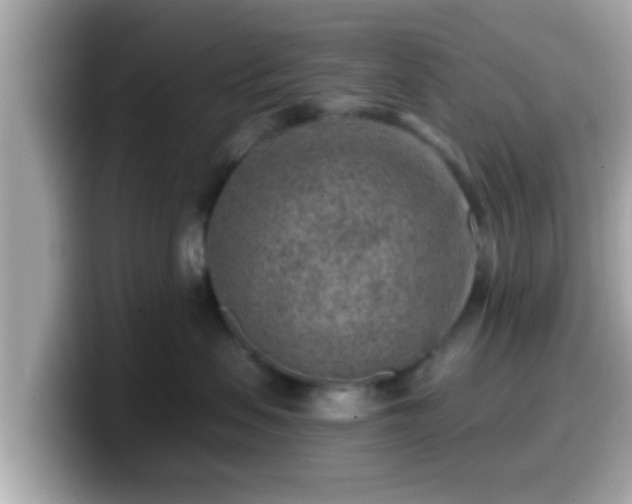 X0000099560479200805231516