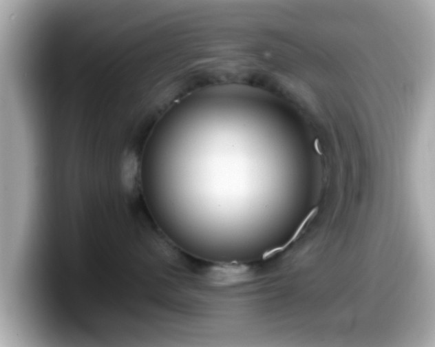 X0000099560480200805231516