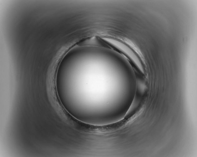 X0000099560481200805231515