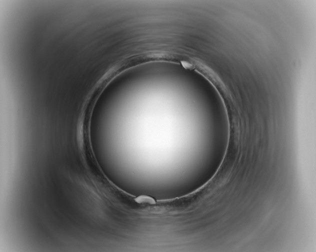 X0000099560482200805231515