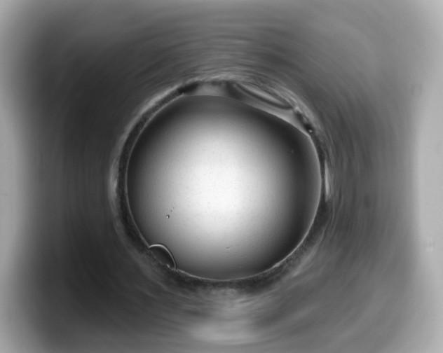 X0000099560483200805231515