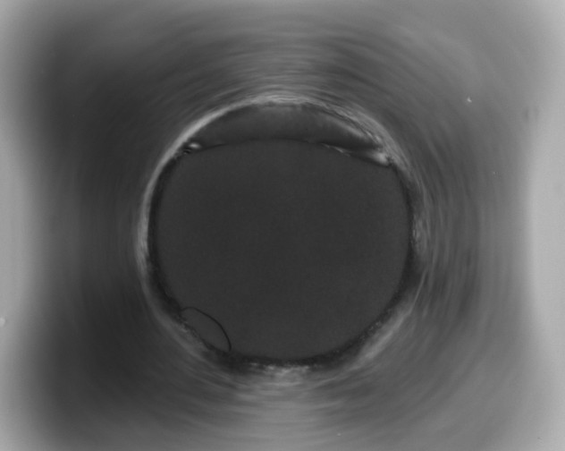 X0000099560484200805231515