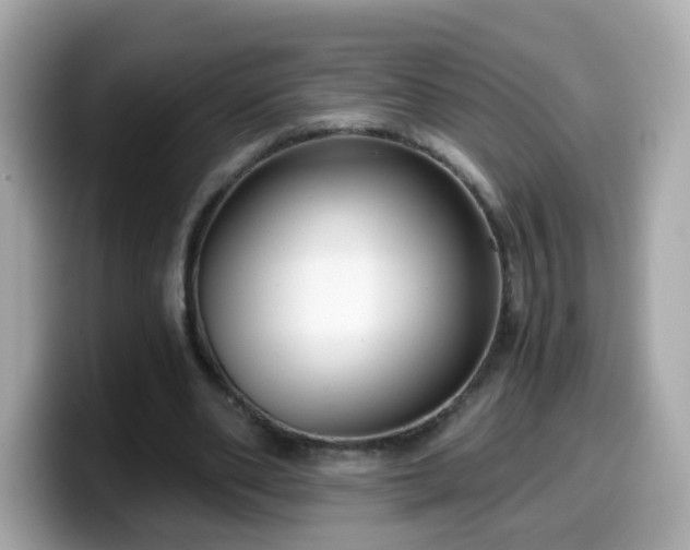 X0000099560486200805231515