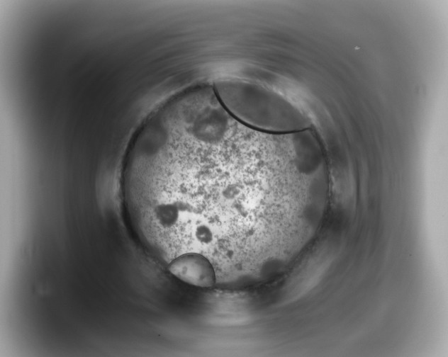 X0000099560487200805231515