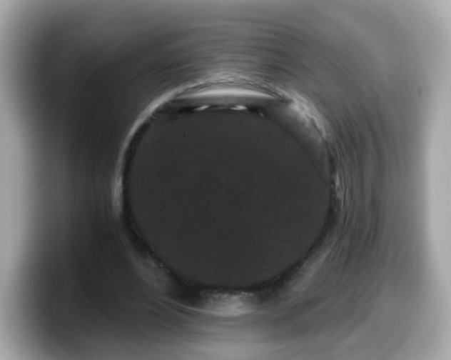 X0000099560488200805231515