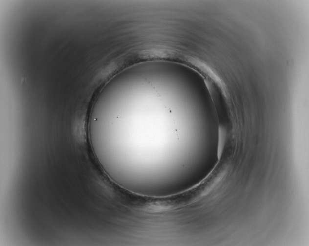 X0000099560489200805231515