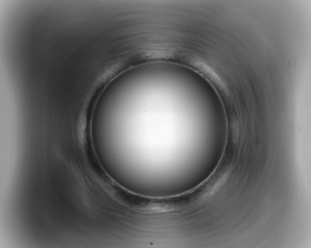 X0000099560490200805231515