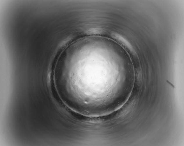 X0000099560491200805231515