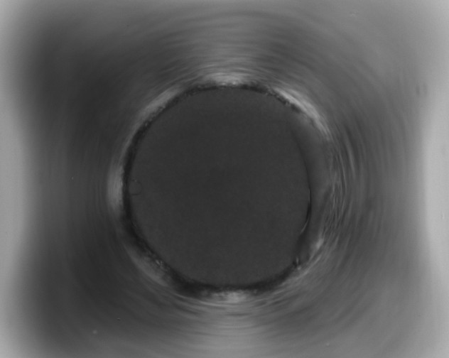 X0000099560492200805231515