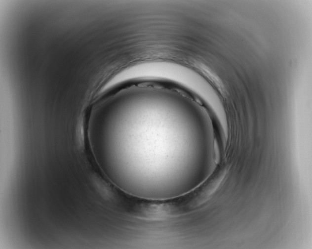 X0000099560493200805231515