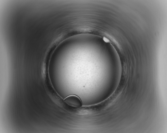 X0000099560494200805231515