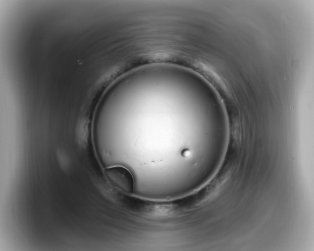 X0000099560495200805231515