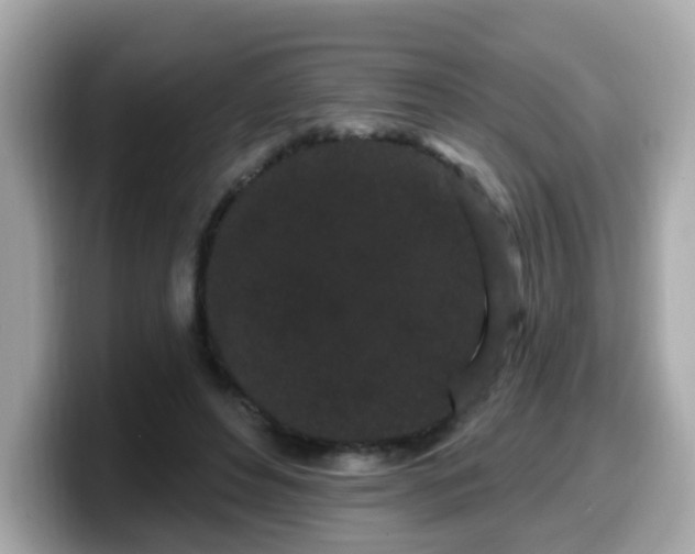 X0000099560496200805231515