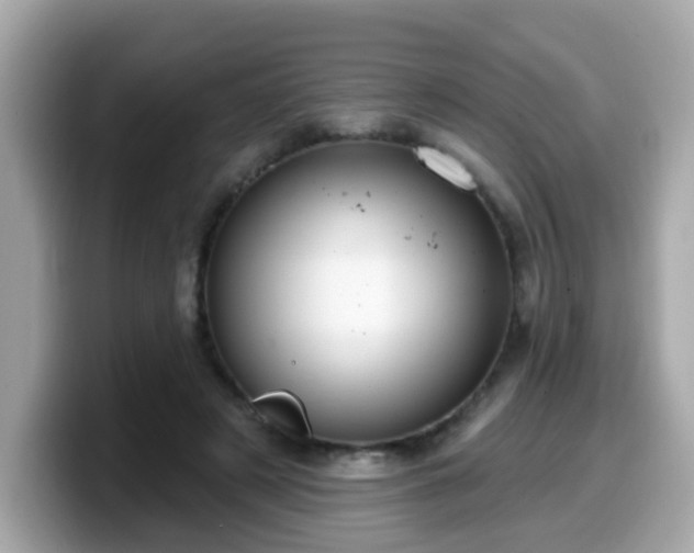 X0000099560497200805231515