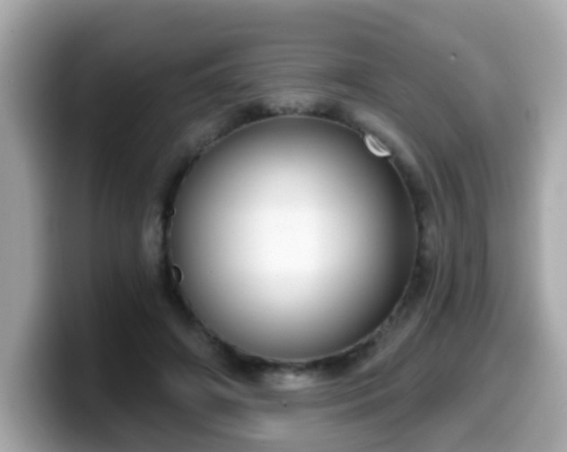 X0000099560498200805231515