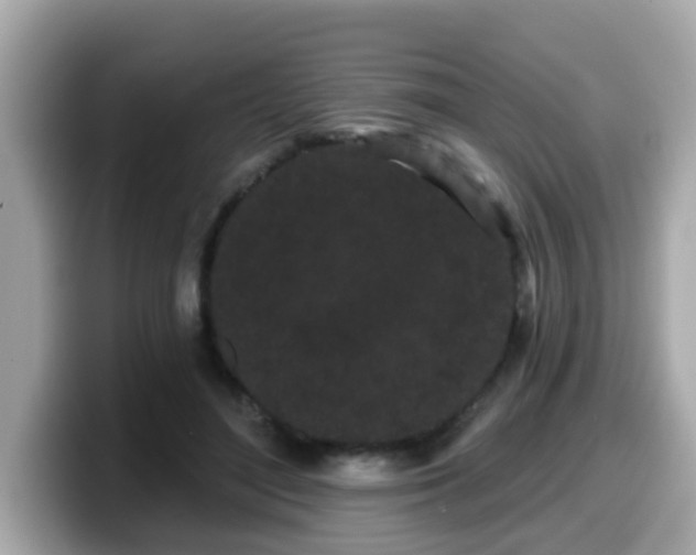 X0000099560500200805231515