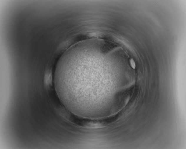 X0000099560502200805231515