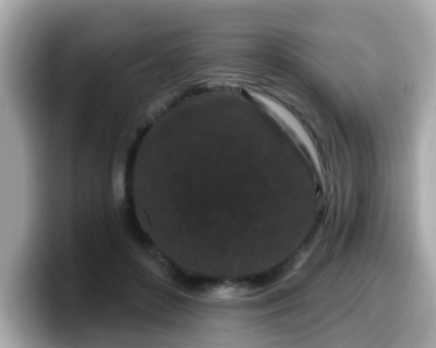 X0000099560504200805231515