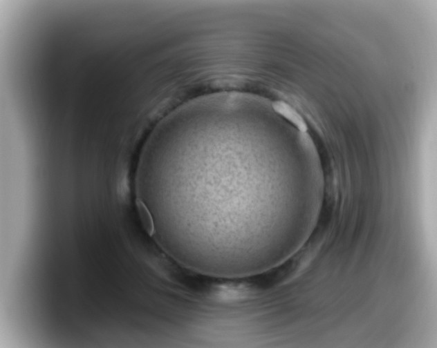 X0000099560508200805231515