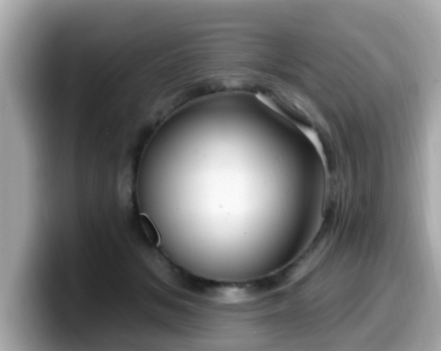 X0000099560509200805231515