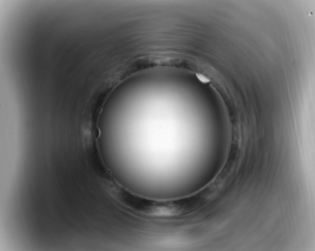 X0000099560510200805231515