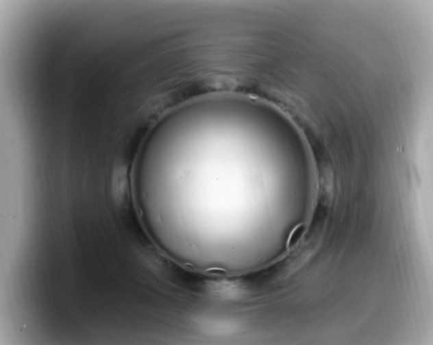 X0000099560511200805231515