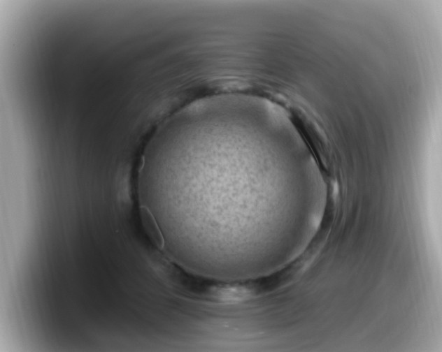 X0000099560512200805231515