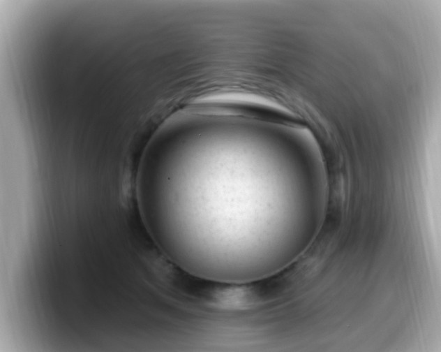 X0000099560513200805231515