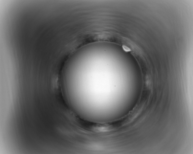 X0000099560514200805231515