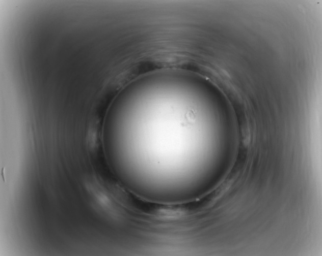 X0000099560515200805231515