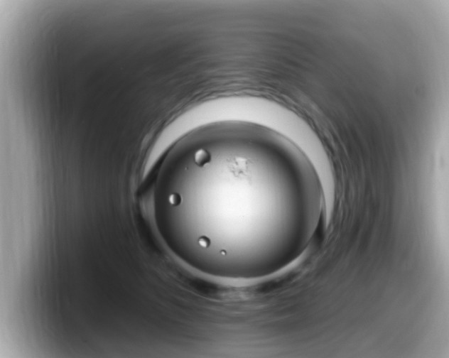 X0000099560516200805231515