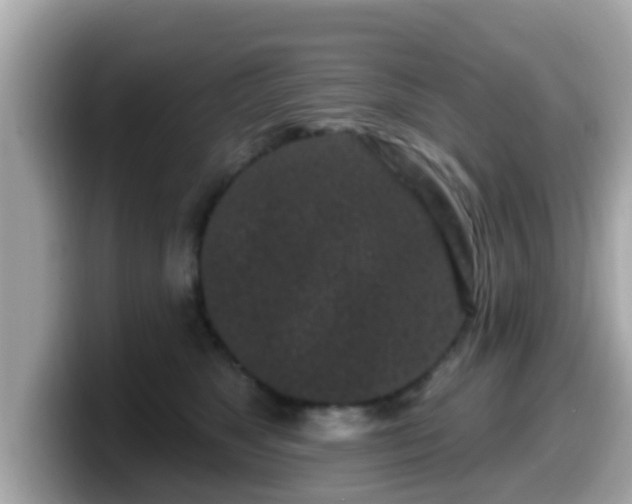 X0000099560517200805231515