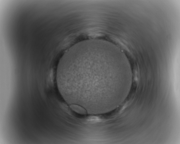 X0000099560519200805231515