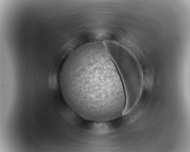 X0000099560520200805231515