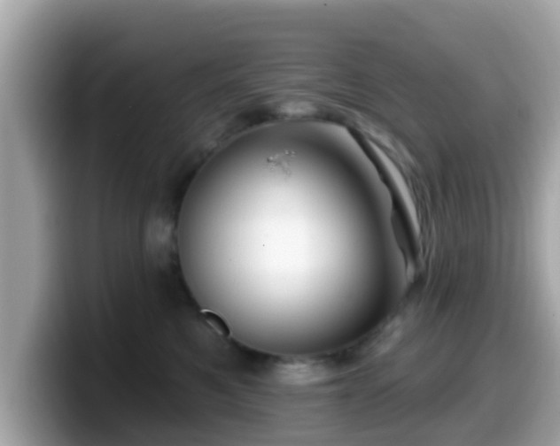 X0000099560521200805231515