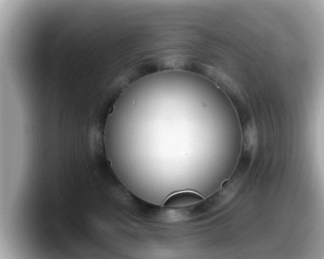 X0000099560522200805231515