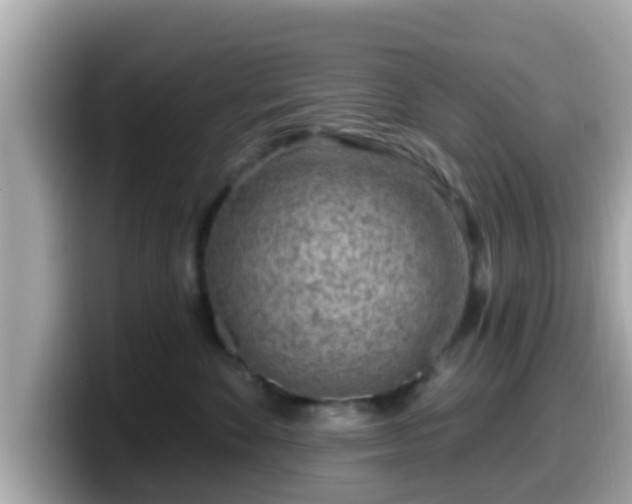 X0000099560524200805231515