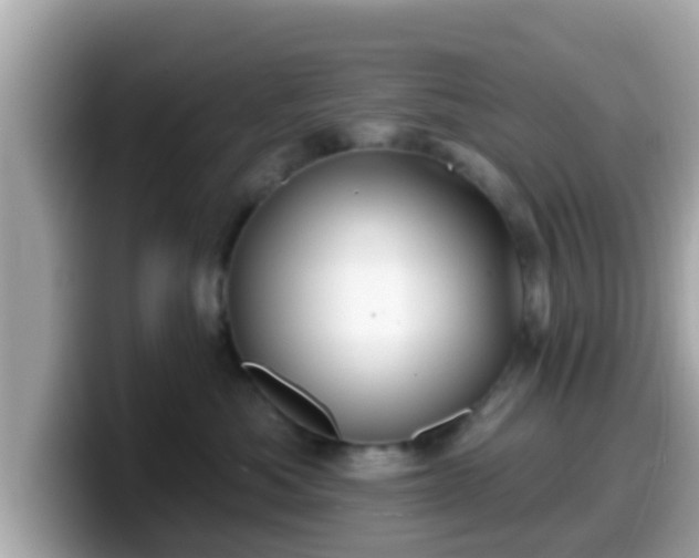 X0000099560525200805231515