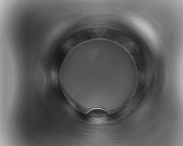 X0000099560526200805231515