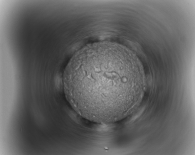 X0000099560527200805231515