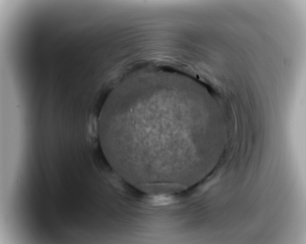 X0000099560528200805231515