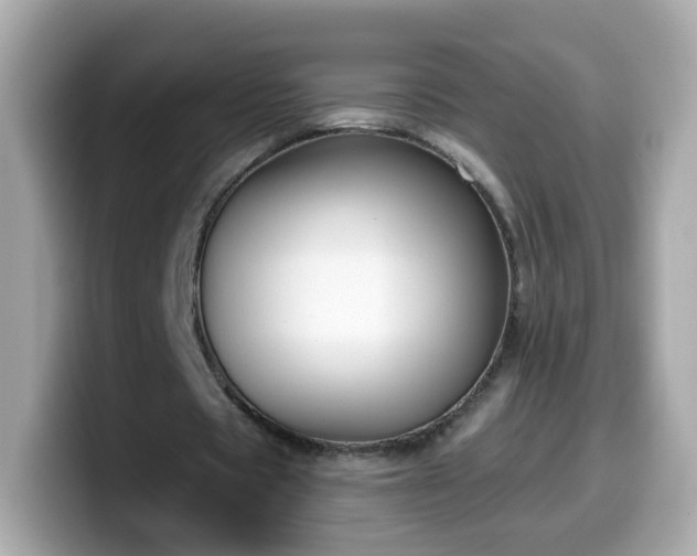 X0000099560529200805231514