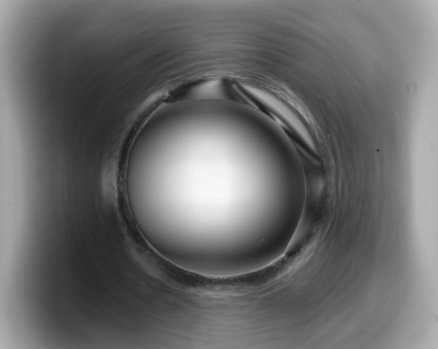 X0000099560530200805231514