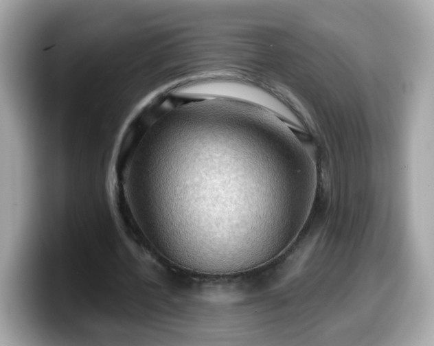 X0000099560532200805231514