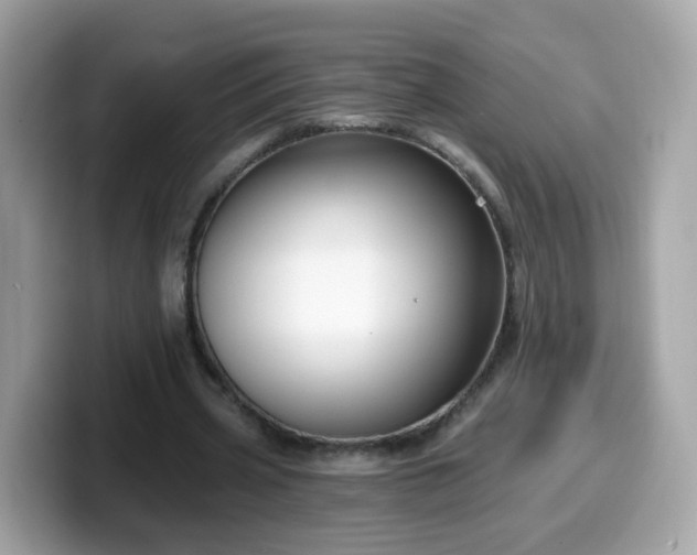 X0000099560533200805231514