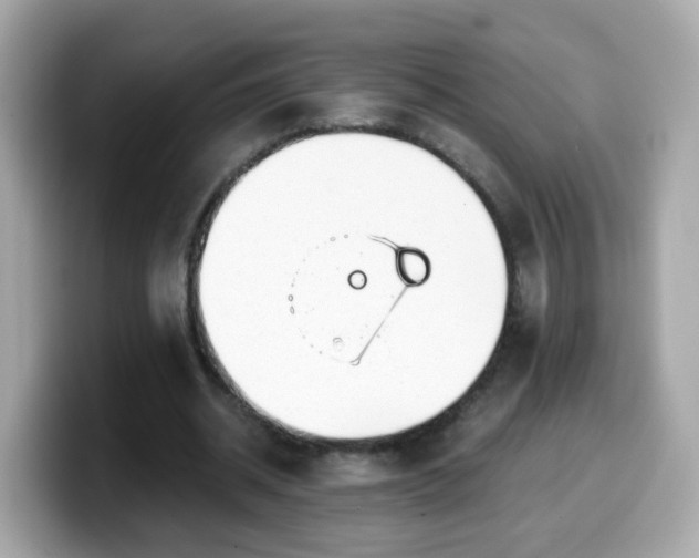 X0000099560534200805231514